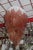 Pink Murano Glass Chandelier from Mazzega, 1970s For Sale - Image 9 of 9