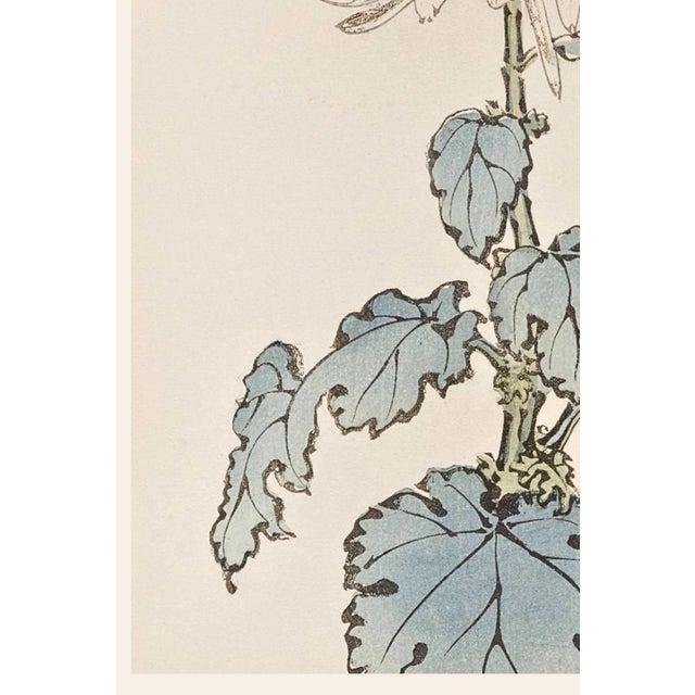 White Chrysanthemum by Hasegawa, Vintage Japanese Botanical Art Print, 24" X 36" For Sale - Image 4 of 9