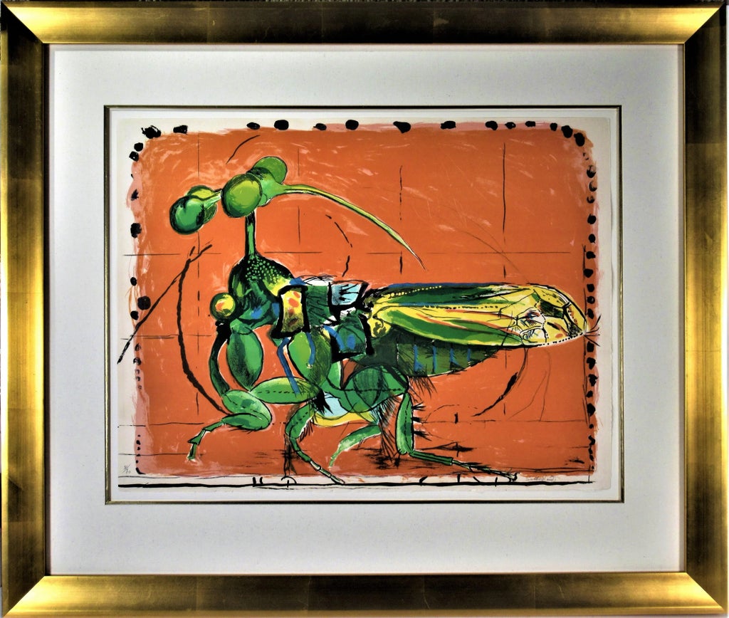 graham-sutherland-insect-