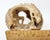 2010's Hand Carved Tagua Nut Dragon - 2-1/2" X 3" - Figurine - Vegetable Ivory For Sale - Image 14 of 14