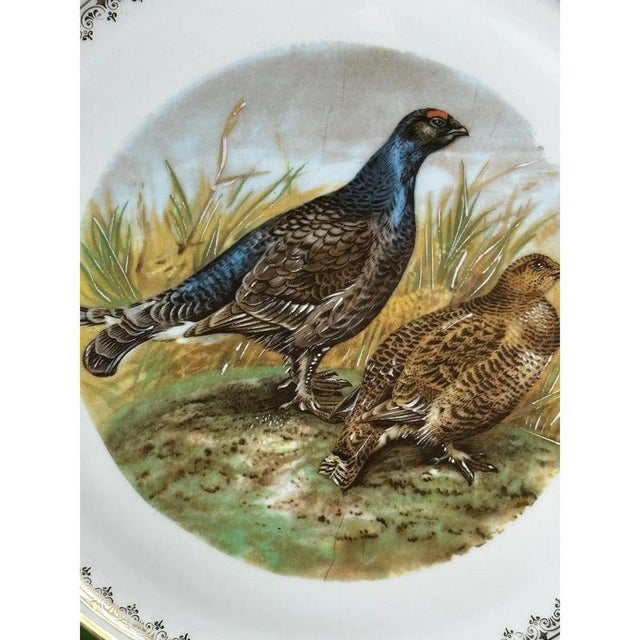 Porcelain Plates with Pheasants from Limoges, France, 1900s, Set of 2 For Sale - Image 6 of 11