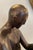 Mimmo Paladino, Figurative Sculpture, 1960, Bronze For Sale - Image 6 of 13