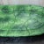 1990s 1990s Vietri Foglia Green Leaf Long Serving Tray Dish For Sale - Image 5 of 9