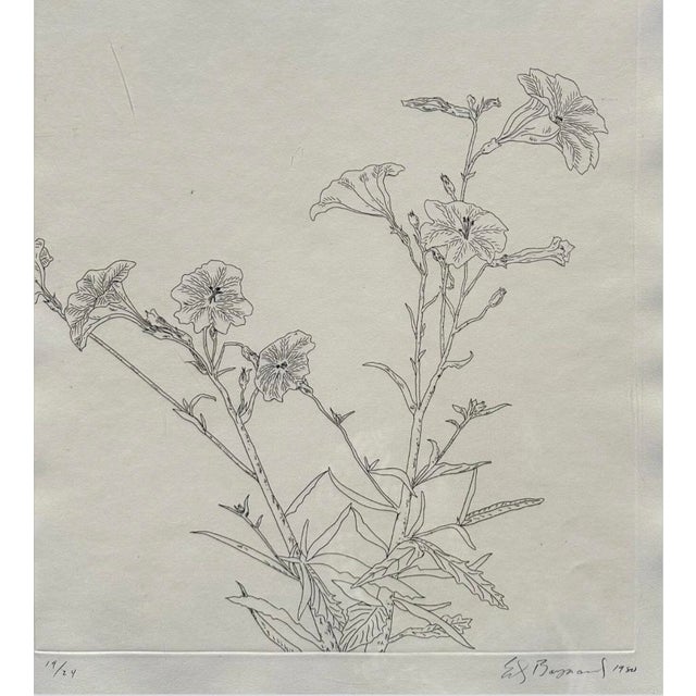 Ed Baynard (American, 1940–2016) Floral, Flowers Etching Framed For Sale - Image 4 of 12