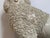 19th Century Staffordshire Poodles - a Pair For Sale - Image 9 of 13