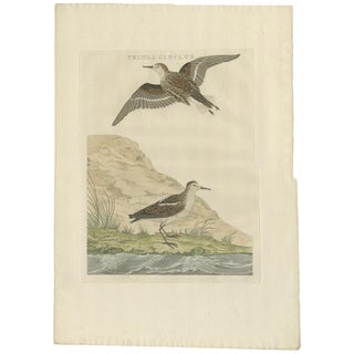 Sepp and Nozeman, Dutch Ornithology, 1797, Paper For Sale