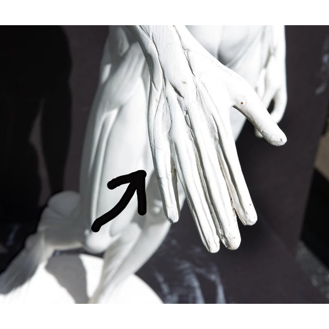 Anatomical Sculpture of Nude Male "L'Ecorche" After Jean Antoine Houdon For Sale - Image 13 of 13