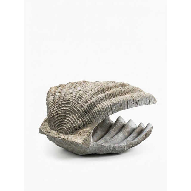 Bring a dramatic coastal focal point to your landscape, patio, or estate garden with this massive resin giant clam shell...