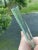 Late 19th Century Antique 19th C. Blue Twist Glass Victorian End-of-Day Whimsy Art Hand Blown Cane For Sale - Image 5 of 18