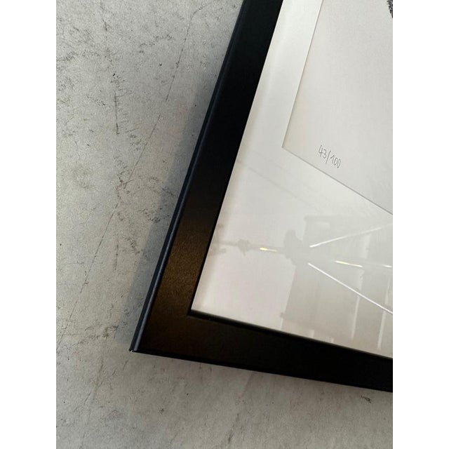 Jacques Guilmot, Untitled, 1960s, Signed Screen Print, Framed For Sale - Image 4 of 13