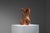 1960s Unknown, Abstract Sculpture with Organic Flowing Curves, 1960s, Teak For Sale - Image 5 of 18