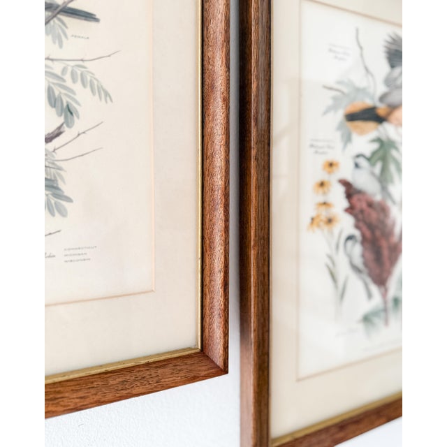 English Set of 4 Vintage Wood Framed Arthur Singer Bird & Botanical Prints For Sale - Image 3 of 6