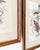 English Set of 4 Vintage Wood Framed Arthur Singer Bird & Botanical Prints For Sale - Image 3 of 6