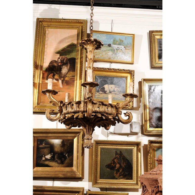 A French five-light carved giltwood chandelier with foliage motifs from the early 20th century. This French chandelier...