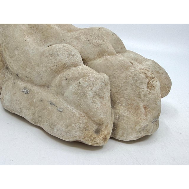 Antique Classical Marble Stone Fragment Lions Claw For Sale - Image 14 of 16