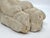 Antique Classical Marble Stone Fragment Lions Claw For Sale - Image 14 of 16