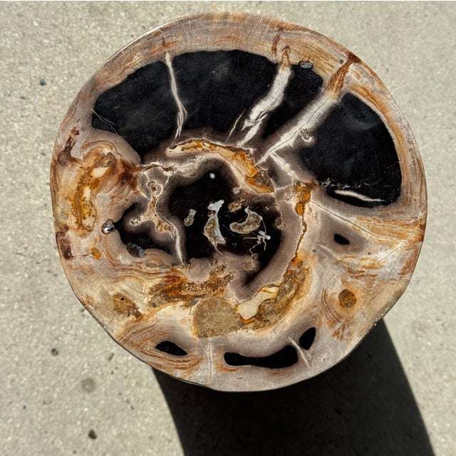 Multicoloured Petrified Wood Side Table For Sale - Image 10 of 16