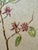 Rustic Henry Emil Salloch Original Watercolor on Paper Botanical Study of a Sweetbrush Branch, 1941. For Sale - Image 3 of 6