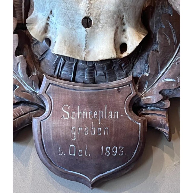 Very Fine 8 Point Stag Horns Mounted on a Large Black Forest Carved Plaque (14"H x 13"W) Inscribed "Schneeplan-graben 5....