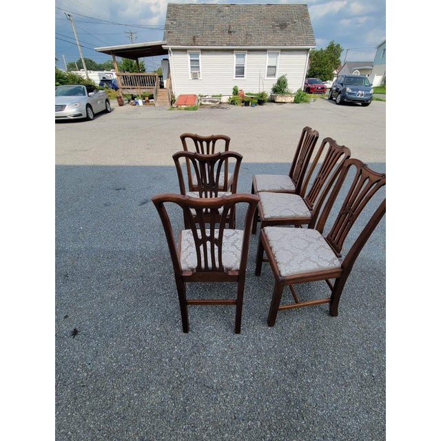 19th Century Solid Mahogany, 6 Dining Room Chairs. Chippindale Made in England For Sale - Image 12 of 14