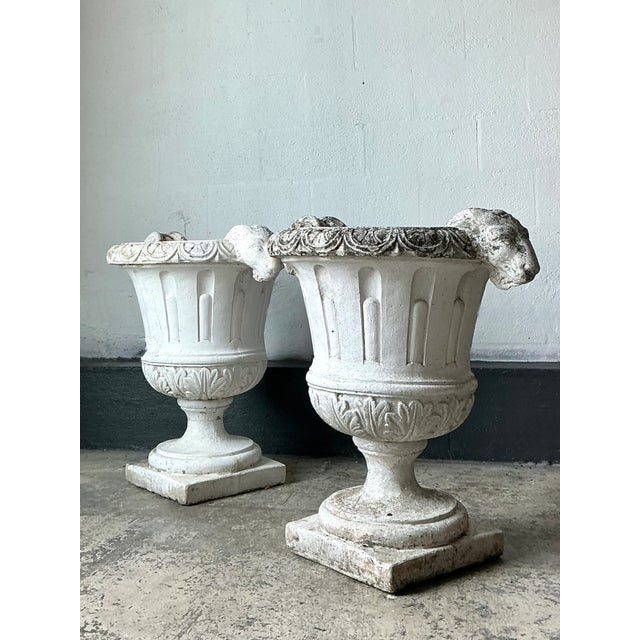 Vintage Cement Ram's Head Planters - Pair For Sale - Image 4 of 12