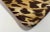 Tan 1998 Vintage Leggiadro Leopard With Pink Zipper Pouch or Bag For Sale - Image 8 of 8