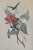 Hummingbird Lithograph After John Gould For Sale