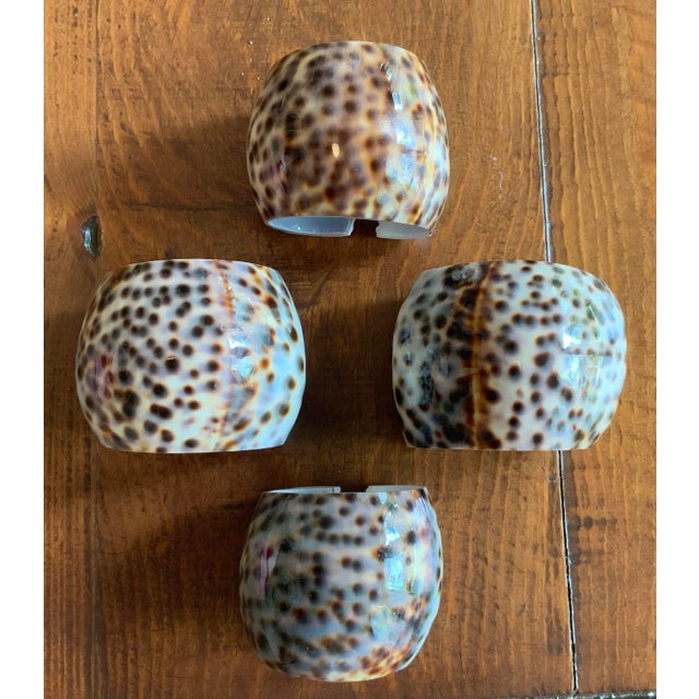 Early 21st Century Genuine Cowrie Shell Napkin Rings Set of 4 - Natural, Coastal, Palm Beach Regency, British Colonial, Beach House, Tropical & Seaside Tableware For Sale - Image 5 of 6