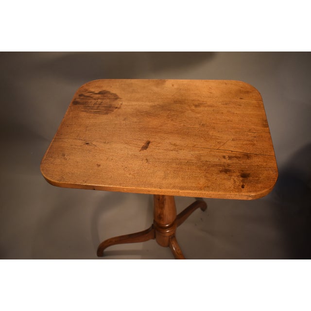 American American Birch Sheraton Candle Stand For Sale - Image 3 of 5