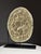 Septaria on Custom Stand For Sale - Image 18 of 18