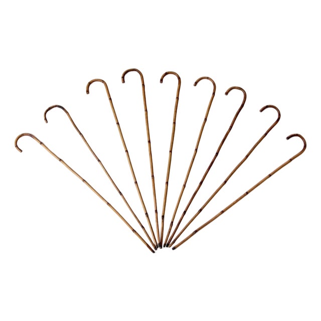 Antique Bamboo Walking Canes Collection For Sale