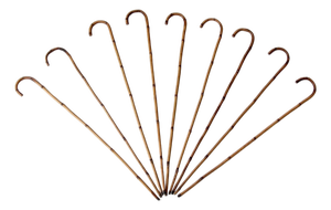 Antique Bamboo Walking Canes Collection