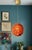 ​Bring a burst of rich texture and vibrant, retro energy to your next project with this striking pair of mid-century...