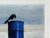 Wood Original 1970s Pacific Northwest Oil on Board Painting Crow on Blue Drum by William Bill Sharp For Sale - Image 7 of 13