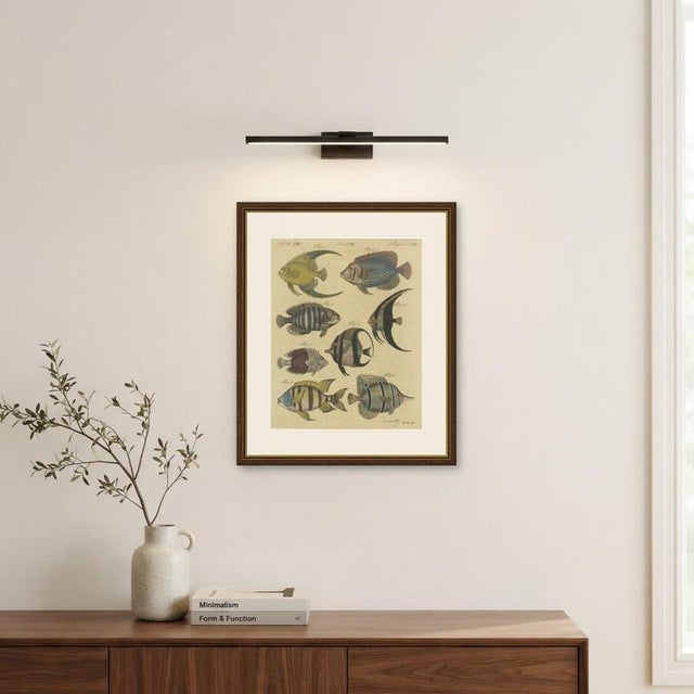 Bertuch, Angelfish, Butterflyfish and Moorish Idol, 1805, Print For Sale - Image 10 of 12