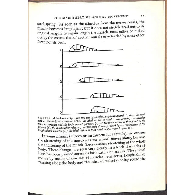 "How Animals Move: The Royal Institution Christmas Lectures 1951" 1953 Gray, James For Sale - Image 4 of 11