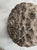 Late 20th Century Concrete Pinecones - A Grouping of Three Garden Sculptures For Sale - Image 6 of 12