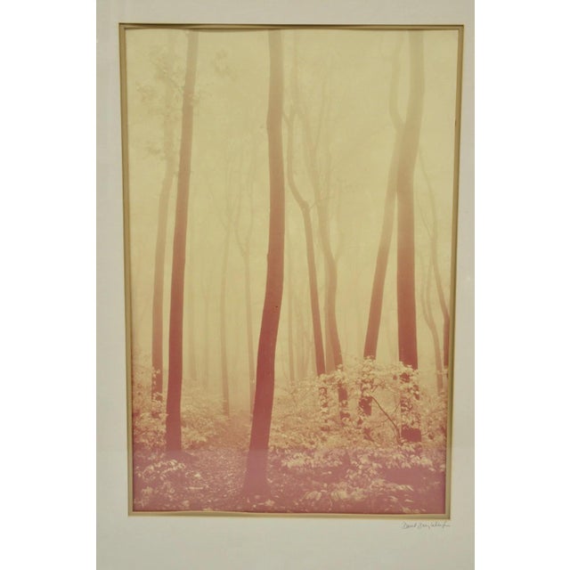 Vintage David Lorenz Winston "Seven Trees" Signed Print Framed and Matted Under Glass. Circa Late 20th Century....