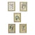 Set of 5 Antique Botanical Prints Framed Floral Flowers For Sale