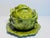 Vintage 1970s Ceramic Cabbage Covered Bowl & Underplate, Holland For Sale In Boston - Image 6 of 8