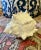 Late 20th Century Late 20th Century Large Ceramic Conch Shell Planter Container For Sale - Image 5 of 9