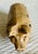 Antique Hand Painted Cast Iron Pig Figurine For Sale In Philadelphia - Image 6 of 11