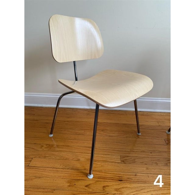Eames Molded Plywood Dining Chair Metal Base Set of 4 For Sale - Image 15 of 18
