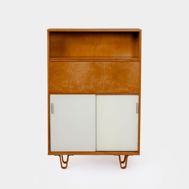 BB 54 Bookcase with Secretaire by Cees Braakman for Pastoe, 1950s For Sale - Image 11 of 11
