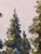 In "Light Warms the Cold," a serene winter landscape unfolds, where tall evergreens rise against soft, snow-covered...