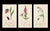 A rare grouping of original hand-colored engravings from John Curtis’s celebrated British Entomology, dating to circa...