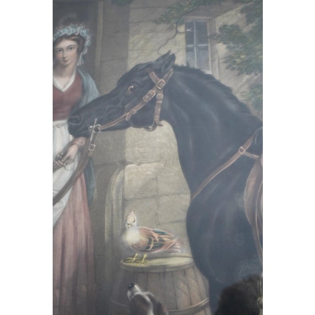 Vintage European Color Engraving of Horse For Sale - Image 9 of 12