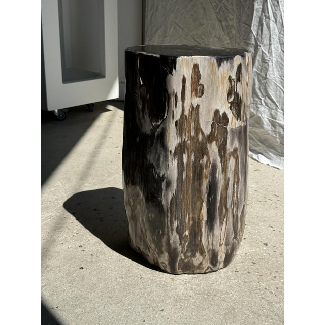 Side Table in Multicolor Petrified Wood with Black Heart For Sale - Image 10 of 18