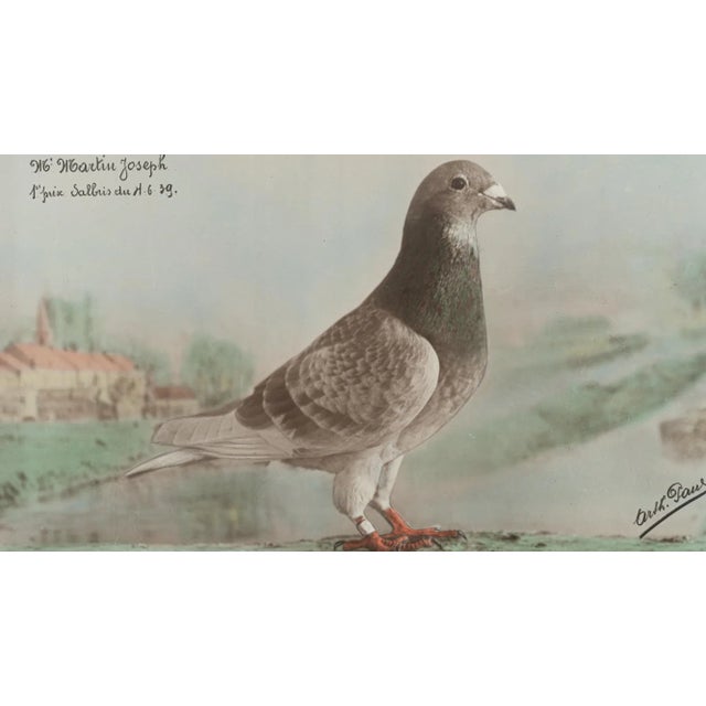 Behold the serene beauty of this 20th Century Belgian artwork, a splendid depiction of nature's simple grace. The central...