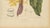 Paper Berthe Hoola van Nooten, Yellow Saraca, 1880, Chromolithograph For Sale - Image 7 of 9